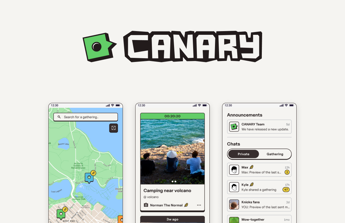 Preview image of the CANARY project